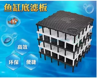 魚(yú)缸里的魚(yú)為什么老是死？揭秘常見(jiàn)原因與解決方案，魚(yú)缸里的魚(yú)頻繁死亡？常見(jiàn)原因與解決方案全解析