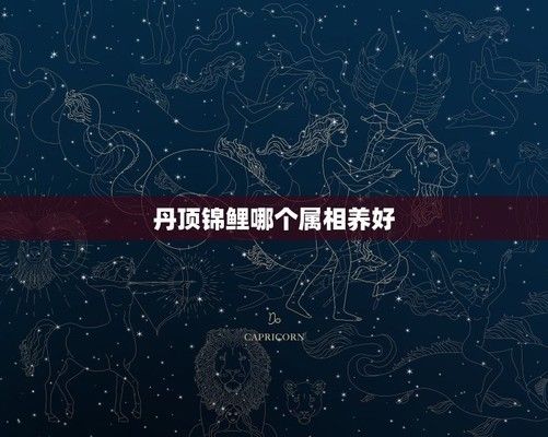 和田玉什么顏色最好？全面解析和田玉的顏色價值，和田玉顏色價值全解析，哪種顏色最珍貴？