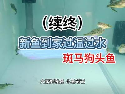 微信頭像圖片，數字身份的第一印象，微信頭像，數字身份的第一印象與社交形象塑造