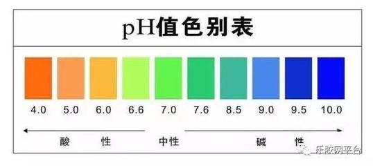 魚缸里的雙色世界，一紅一花的和諧共處之道，紅與花的邂逅，魚缸中的雙色共生美學