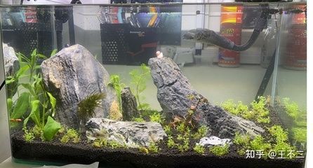 龍魚缸鋪石頭還是裸缸好呢（龍魚缸選石材質地指南,如何清潔魚缸內石頭）