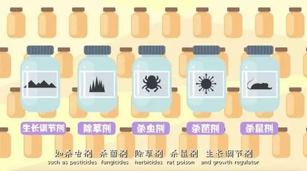 金龍魚顏色淺嗎？揭秘影響金龍魚體色的關鍵因素，金龍魚顏色變淺的5大原因及改善方法全解析