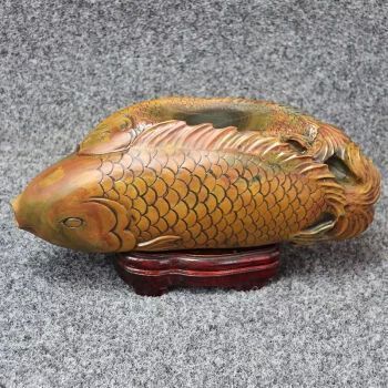 世界上最貴的金龍魚是什么，2024年世界上最貴的金龍魚與過背金龍的區(qū)別