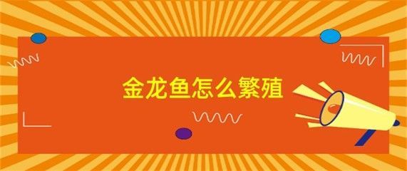 金龍魚喂什么食物促進性成熟快，金龍魚的性成熟期的喂食方法和喂食方法和喂食方法 金龍魚喂什么食物促進性成熟快，金龍魚的性成熟期的喂食方法和喂食方法和喂食方法 龍魚百科 第5張