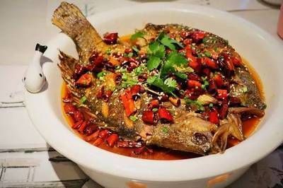 為什么龍魚關燈就游來游去呢：飛龍魚翅宴是一種非常高檔的宴席