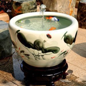 紅龍魚幼龍（關于紅龍魚幼龍的一些基本信息）