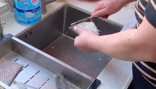 石家莊市民吃金龍魚，石家莊市民“吃金龍魚”可以指兩種截然不同的情況