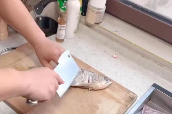 石家莊市民吃金龍魚，石家莊市民“吃金龍魚”可以指兩種截然不同的情況