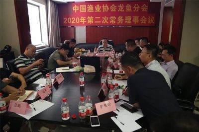 龍魚協會會長，中國漁業協會龍魚分會會長是文建強先生