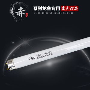 卡普瓦斯之光龍魚怎么樣，卡普瓦斯之光龍魚品種對比分析卡普瓦斯之光龍魚價格趨勢