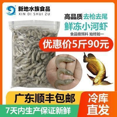 龍魚喂飼料好消化嗎為什么呢，龍魚喂食時需考慮飼料類型及其消化能力及其消化能力