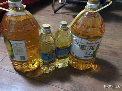 金龍魚為什么那么便宜，寶石金龍魚與其他品種對比,觀賞魚市場價格波動原因