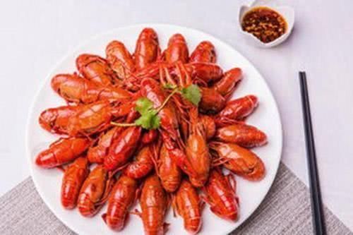龍魚吃蝦有什么好處（龍魚吃蝦對(duì)它們有很多好處）