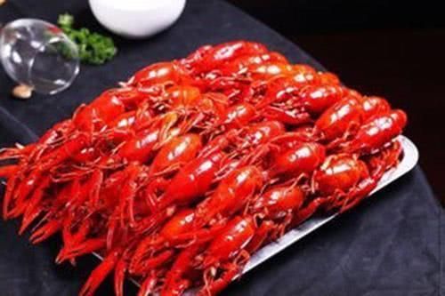 龍魚吃蝦有什么好處（龍魚吃蝦對(duì)它們有很多好處）