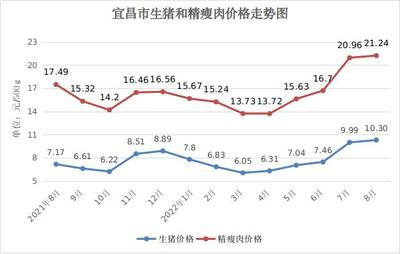 印尼紅龍魚(yú)圖片高清圖大全集：印尼紅龍魚(yú)，高清圖片下的自然瑰寶