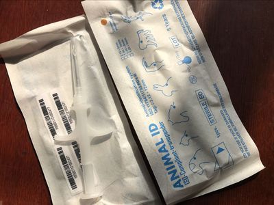 祥龍龍魚硝化細菌，祥龍龍魚硝化細菌對應的相關信息，祥龍龍魚的硝化細菌對應的相關信息