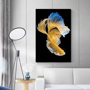 可以跟龍魚混養的魚叫什么，大型觀賞魚與龍魚混養的魚類特點和注意事項