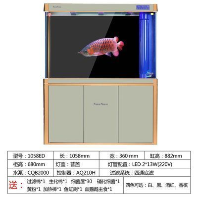 龍魚都是進口的嗎，國內龍魚市場主要依賴于進口，但價格居高不下，價格居高不下