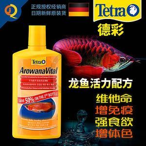 龍魚進貨渠道有哪些（如何選擇龍魚進貨渠道）