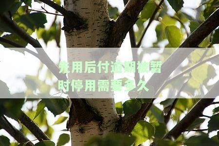 龍魚e卡先用后付逾期，龍魚e卡逾期信用修復方法龍魚e卡逾期催收流程
