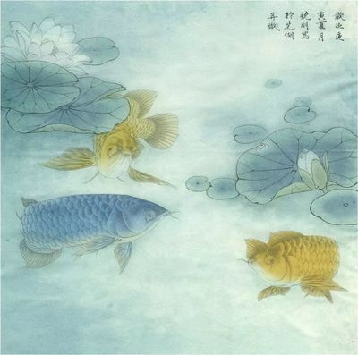 金龍魚眼珠為有一邊特別突出（金龍魚的眼珠一邊特別突出的問題可能由多種原因引起）
