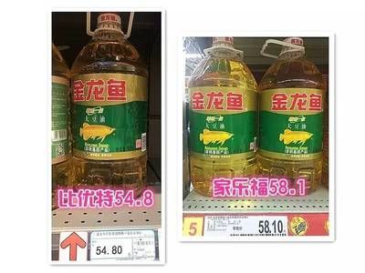 金龍魚價格排行榜最新表，金龍魚價格排行榜