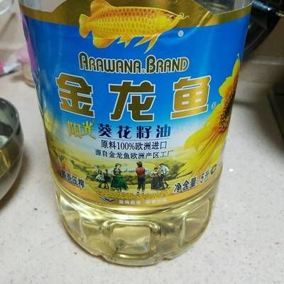 金龍魚正式工好近嗎，金龍魚正式工工作環(huán)境和待遇如何