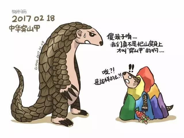 龍魚有多大，如何判斷龍魚的大小？
