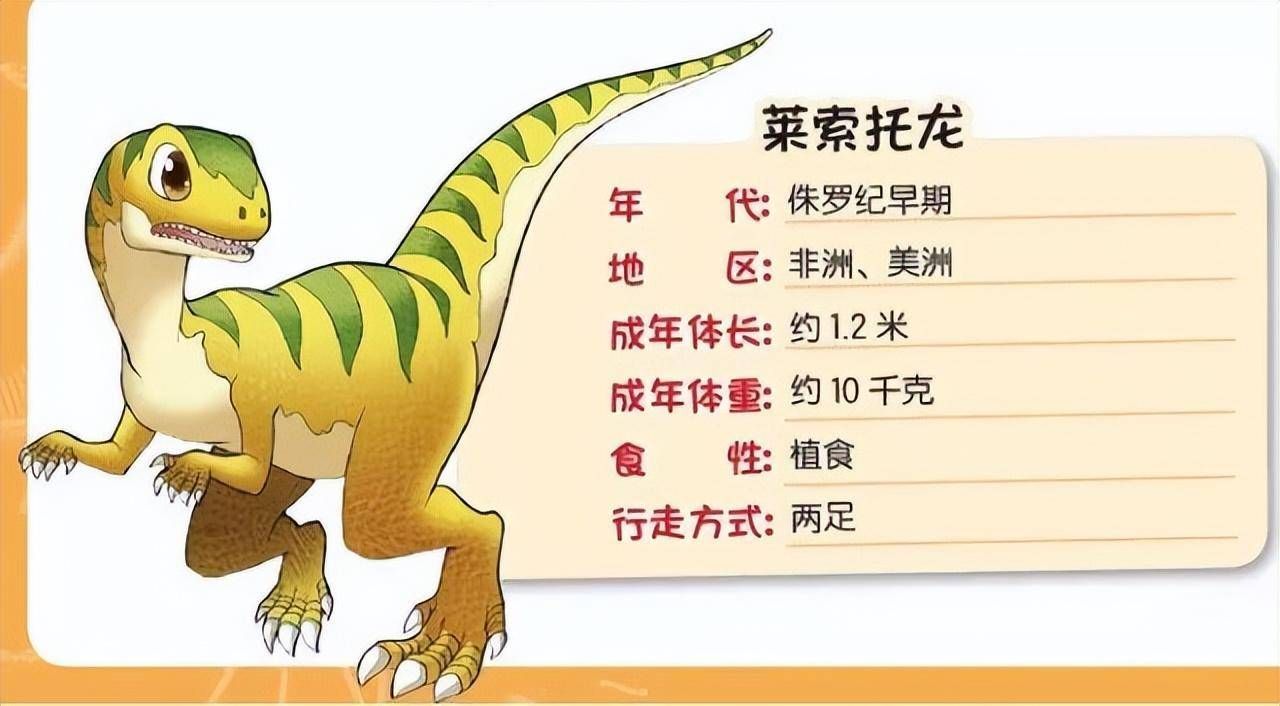 龍魚有多大，如何判斷龍魚的大小？