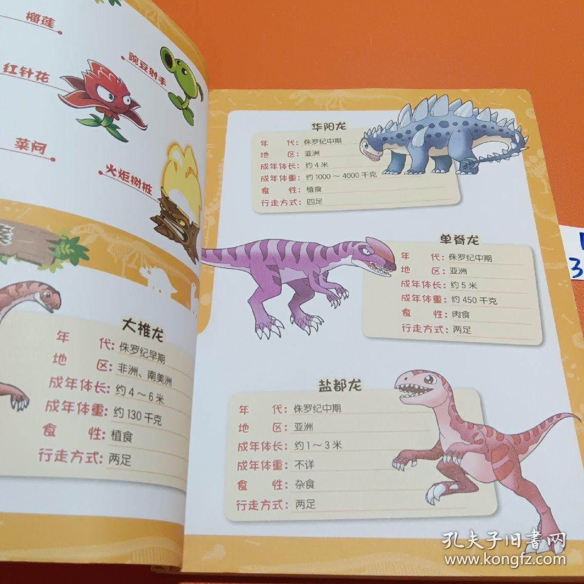 龍魚有多大，如何判斷龍魚的大小？