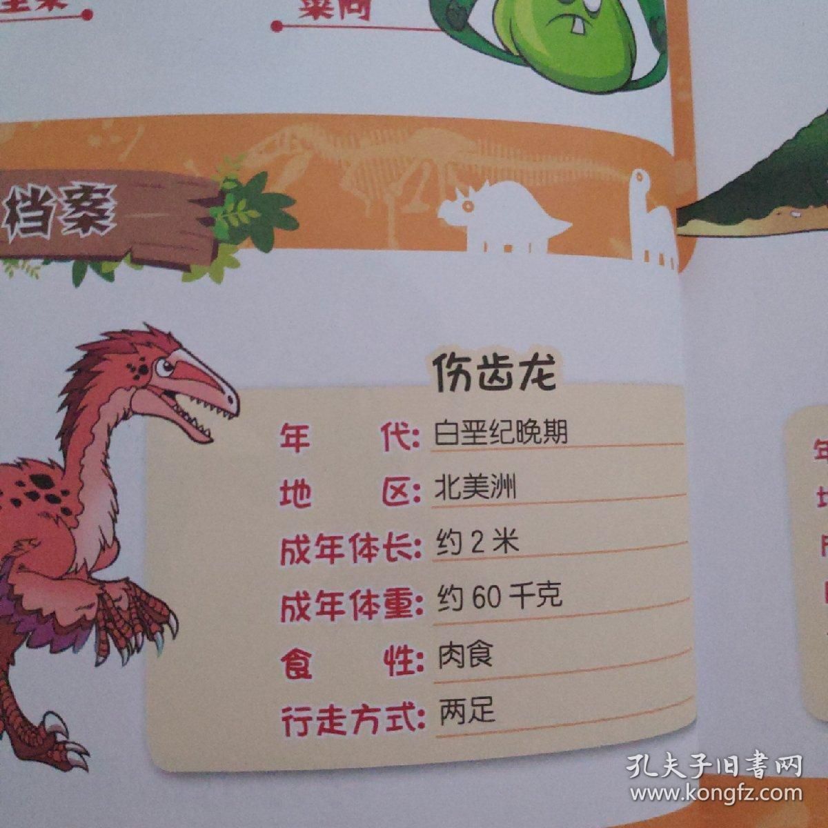 龍魚有多大，如何判斷龍魚的大小？
