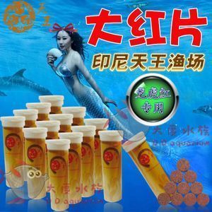龍魚蒙眼用什么藥最有效果，治療龍魚蒙眼的藥物應根據病因和獸醫的建議來確定