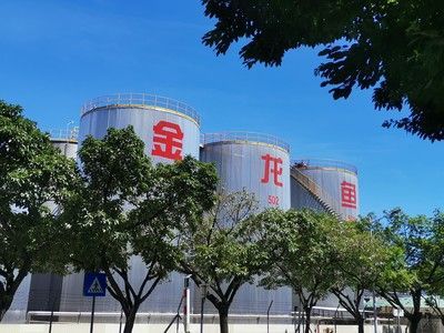 南寧金龍魚蛋雞養(yǎng)殖基地在那里，南寧金龍魚養(yǎng)殖基地位置
