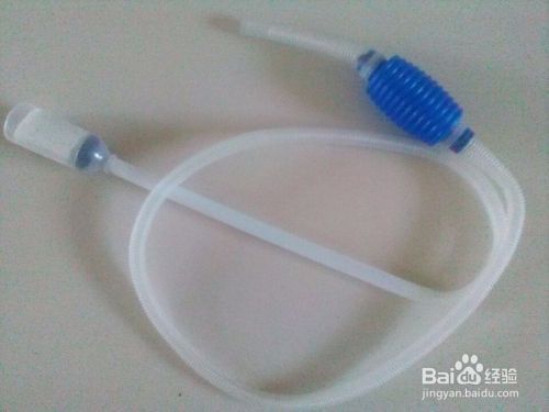 龍魚缸怎么清洗魚屎，清洗龍魚缸的方法