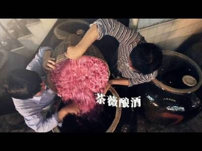 龍魚(yú)背景圖哪個(gè)最火，龍魚(yú)背景圖哪個(gè)最火龍魚(yú)壁紙流行色排行色排行