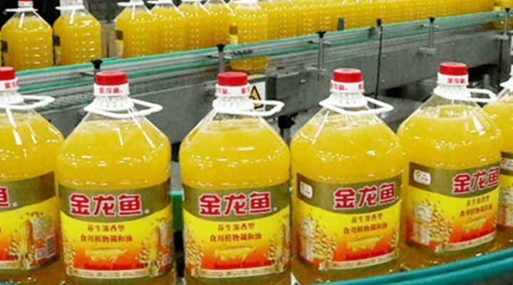 金龍魚銷量下降