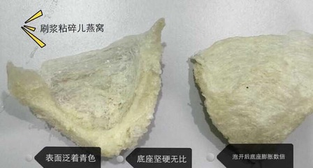 最好的龍魚燈品種有哪些圖片：探秘頂級龍魚燈品種，照亮水族世界的璀璨明珠