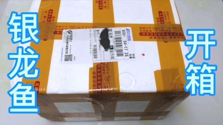 什么樣的銀龍魚品質好，銀龍魚品質好壞的標準