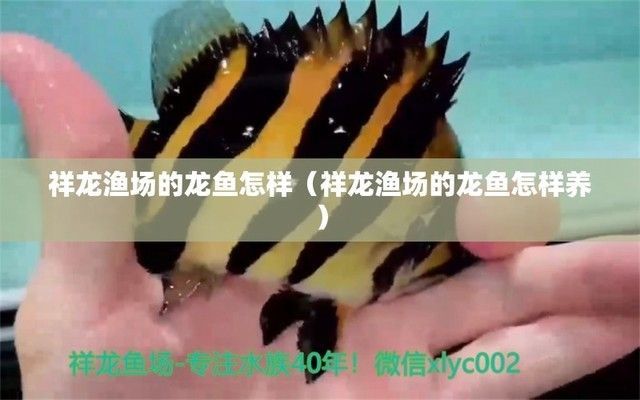 南京市秦淮區(qū)繆記水族店（南京市秦淮區(qū)繆記水族店詳細(xì)介紹,許可經(jīng)營(yíng)項(xiàng)目：無(wú)）