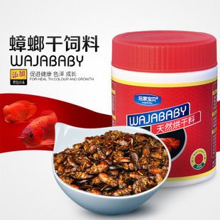龍魚飼料推薦品種大全及價(jià)格，龍魚飼料及種類及價(jià)格 龍魚飼料推薦品種大全及價(jià)格，龍魚飼料及種類及價(jià)格 龍魚百科 第4張