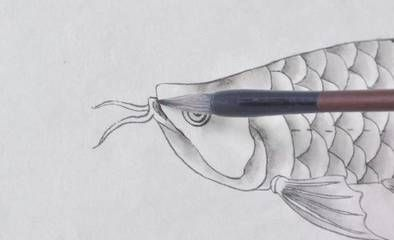 畫金龍魚怎么畫簡單：在尋找簡單的方法來畫金龍魚時