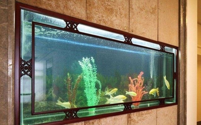 礦泉水桶做魚缸壞處有哪些（大礦泉水桶做魚缸）
