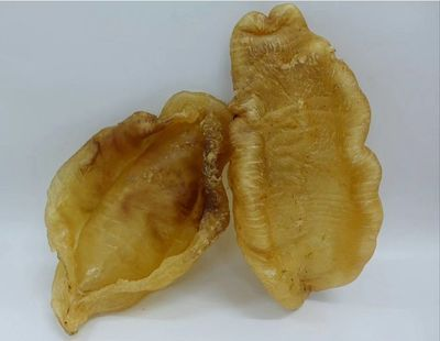 金龍魚(yú)膠怎么辨別好壞，金龍魚(yú)膠真假鑒別技巧