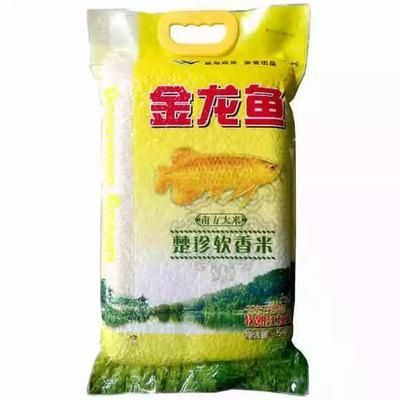 金龍魚香米價格，金龍魚香米的價格