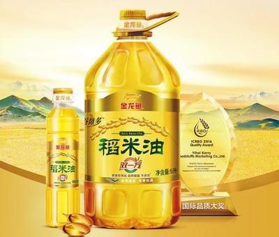 金龍魚怎么選擇品相好，如何鑒別金龍魚畸形
