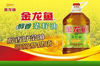 金龍魚國外品牌，金龍魚與adm<strong><mark>合作</mark></strong>詳情金龍魚外資背景對中國市場影響