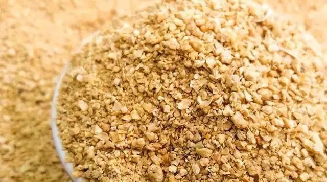 龍魚為什么突然暴斃了一條腿的魚呢：龍魚暴斃的原因