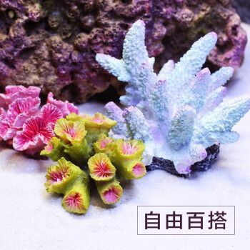 易萌魚(yú)缸，易萌魚(yú)缸怎么樣