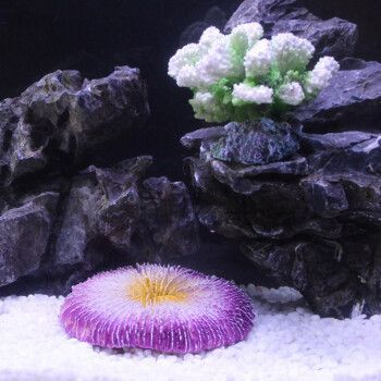 易萌魚(yú)缸，易萌魚(yú)缸怎么樣