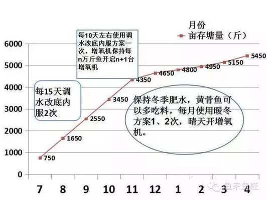 鯉魚是哪位神仙的化身？探尋中國神話中的靈魚傳說，鯉魚躍龍門，揭秘中國神話中哪位神仙化身靈魚的傳說